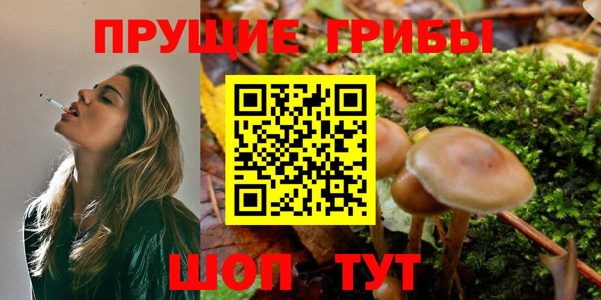 Галлюциногенные грибы ЛСД  что такое наркотик  Курчалой  Вход с VPN 