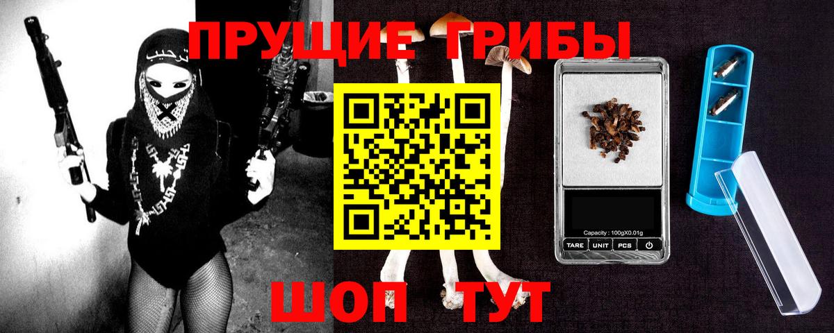 Галлюциногенные грибы Psilocybine cubensis Курчалой